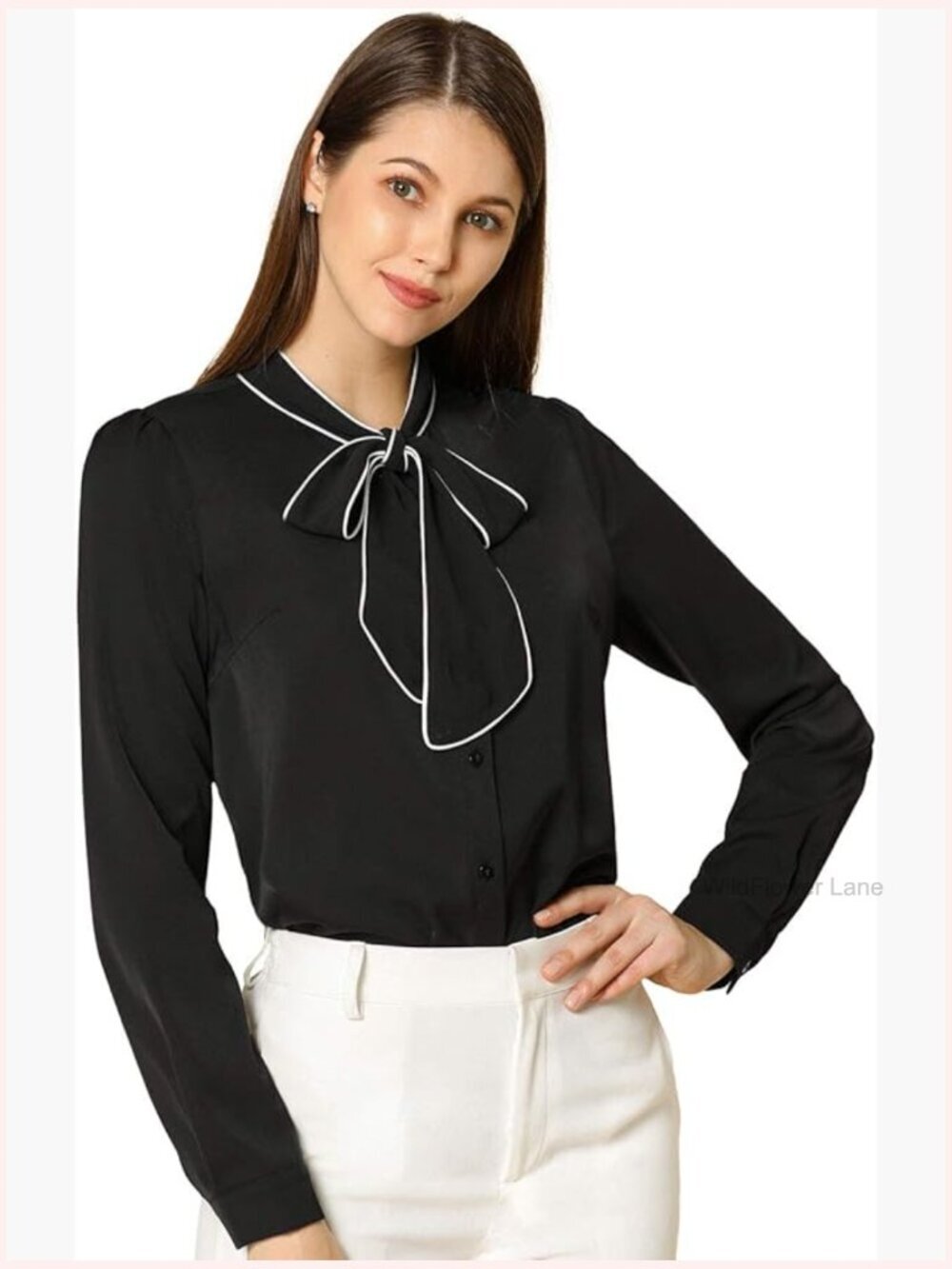 Long Sleeve Button Down Bow Tie Blouse Business Casual Work Shirt Top